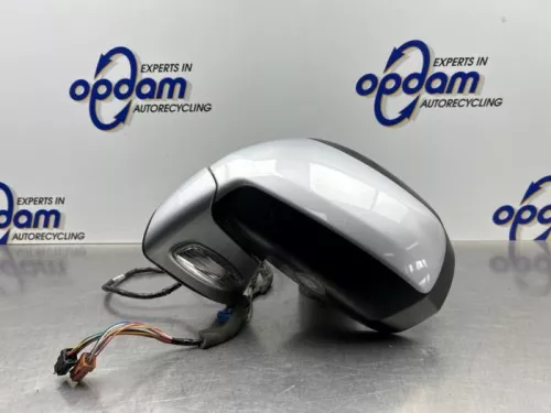 Buitenspiegel links-8300412