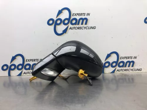 Buitenspiegel links-8146887