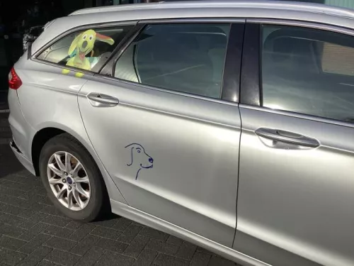 Portier 4Deurs rechts-achter-8397322