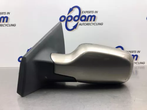 Buitenspiegel links-8233812