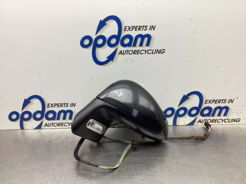 Buitenspiegel links-8132897