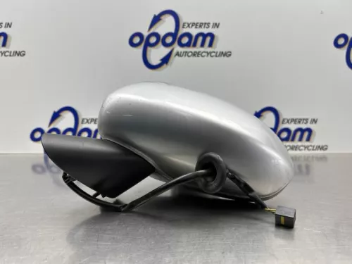 Buitenspiegel links-8318663