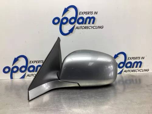 Buitenspiegel links-8076709