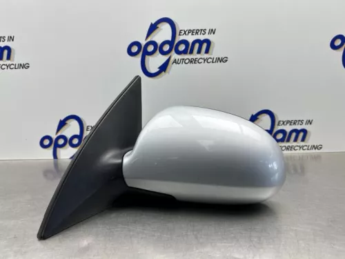 Buitenspiegel links-8260536