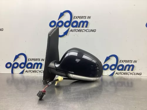 Buitenspiegel links-8096684