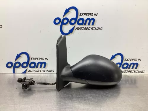 Buitenspiegel links-8065966