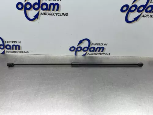 Gasdemper Motorkap rechts-8355999