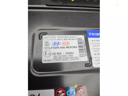 Accu (Hybride)-8195246