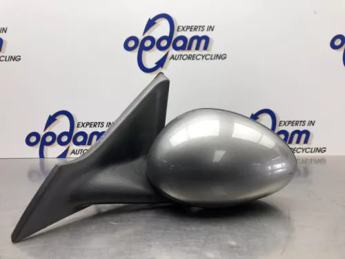 Buitenspiegel links-8175869