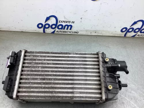 Intercooler-8195246