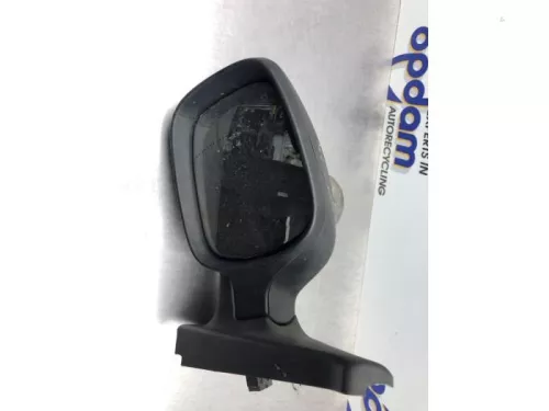 Buitenspiegel links-8203656