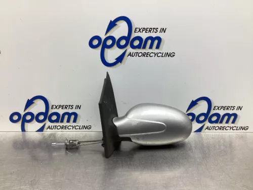 Buitenspiegel links-7993967