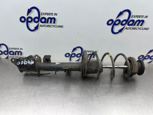 Schokdemperpoot links-achter-8407324