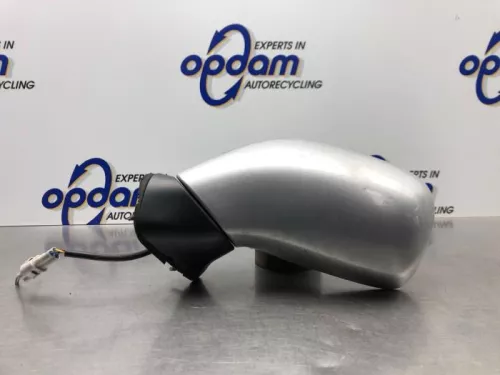 Buitenspiegel links-8252697