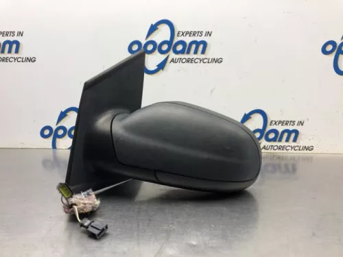 Buitenspiegel links-8171366