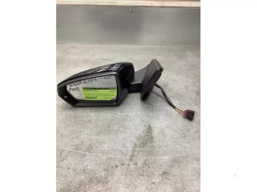 Buitenspiegel links-8252642