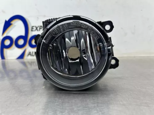 Mistlamp rechts-voor-