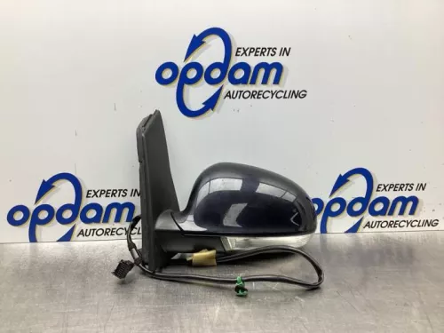 Buitenspiegel links-7889024