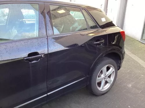 Portier 4Deurs links-achter-8390821