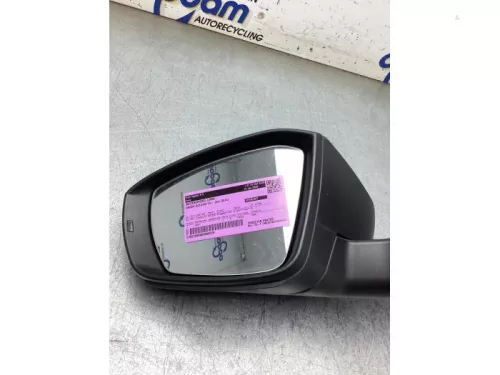 Buitenspiegel links-8397436