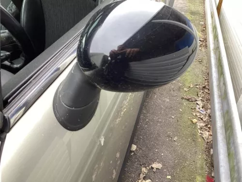 Buitenspiegel links-8128291