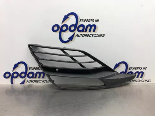 Bumper Rooster-8186158