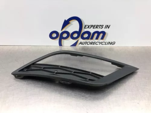 Bumper Rooster-8181957