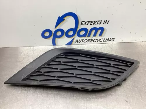 Bumper Rooster-7938209