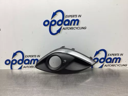 Bumper Rooster-7991897