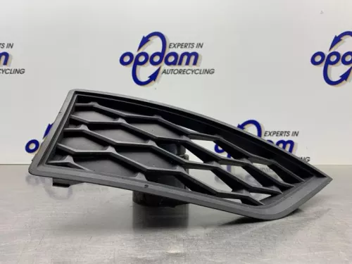 Bumper Rooster-8255120