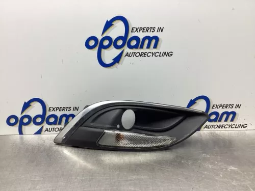 Bumper Rooster-7990372