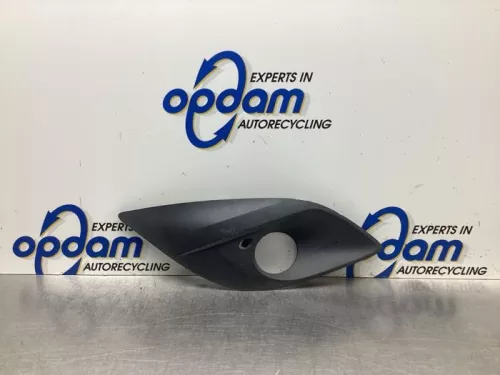 Bumper Rooster-8091756