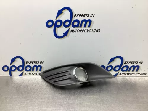 Bumper Rooster-7856232