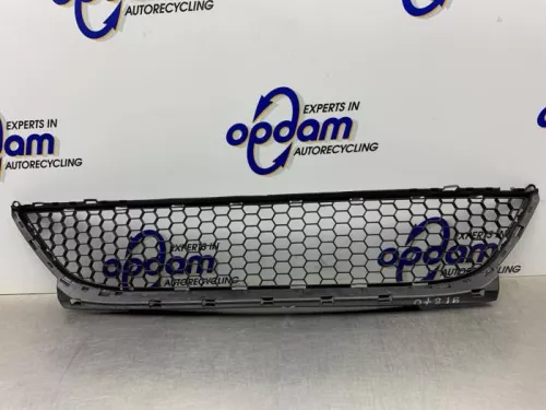 Bumper Rooster-8239553