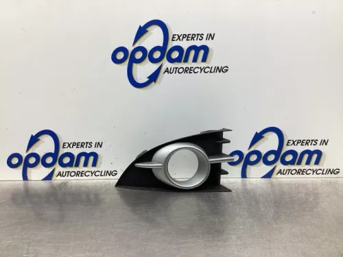 Bumper Rooster-8039010