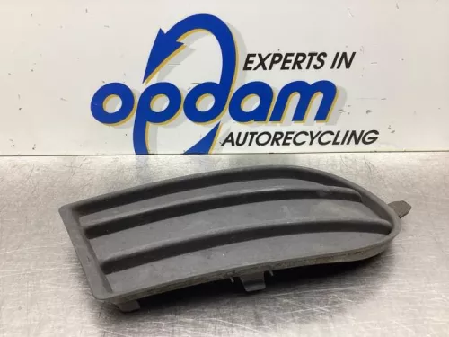 Bumper Rooster-8026231