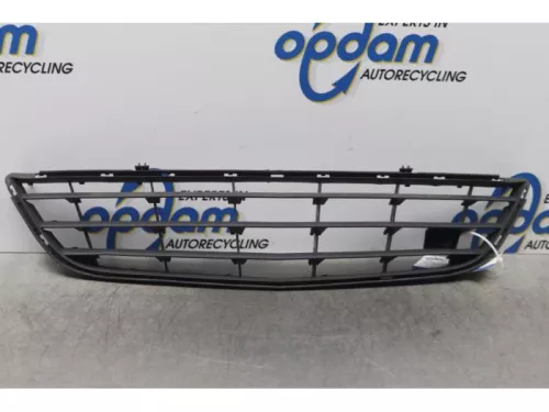 Bumper Rooster-7608861