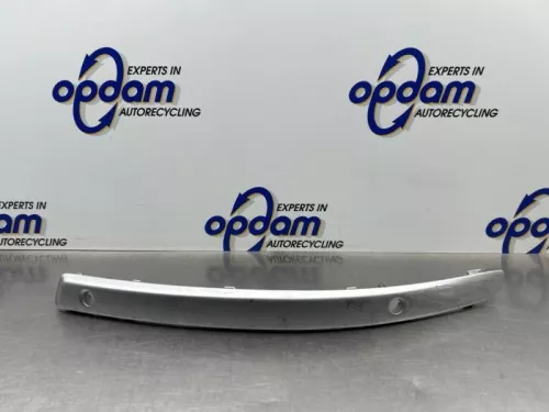 Bumperlijst links-voor-8221220