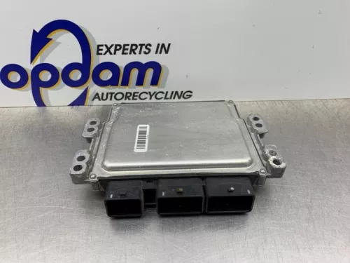 Computer Motormanagement-8187393