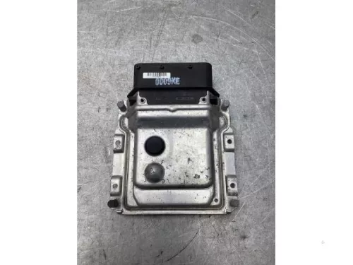 Computer Motormanagement-8077827