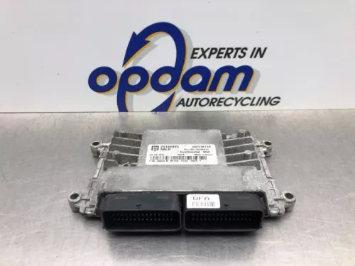 Computer Motormanagement-8220837