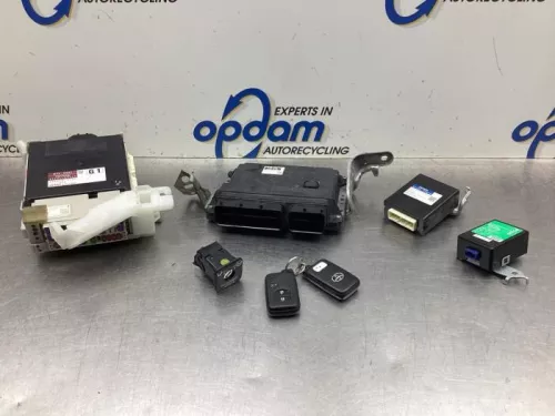 Computer Motormanagement-8066128