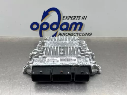 Computer Motormanagement-8130916