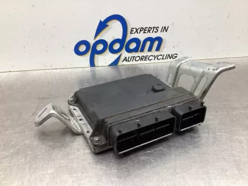 Computer Motormanagement-8073754