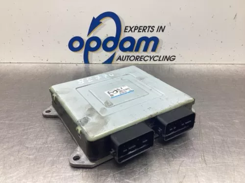 Computer Motormanagement-8066055