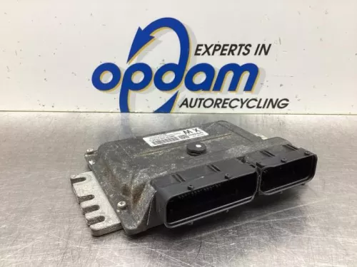 Computer Motormanagement-8065656