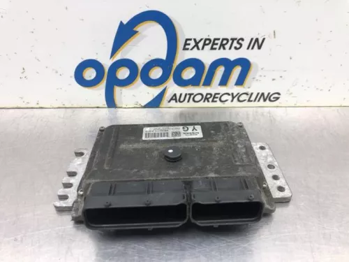 Computer Motormanagement-8153040