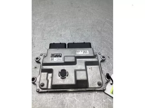 Computer Motormanagement-8198040