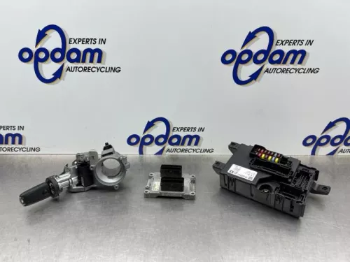 Computer Motormanagement-8305360