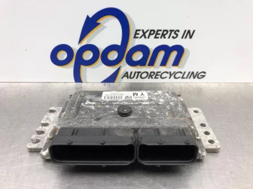 Computer Motormanagement-8256459